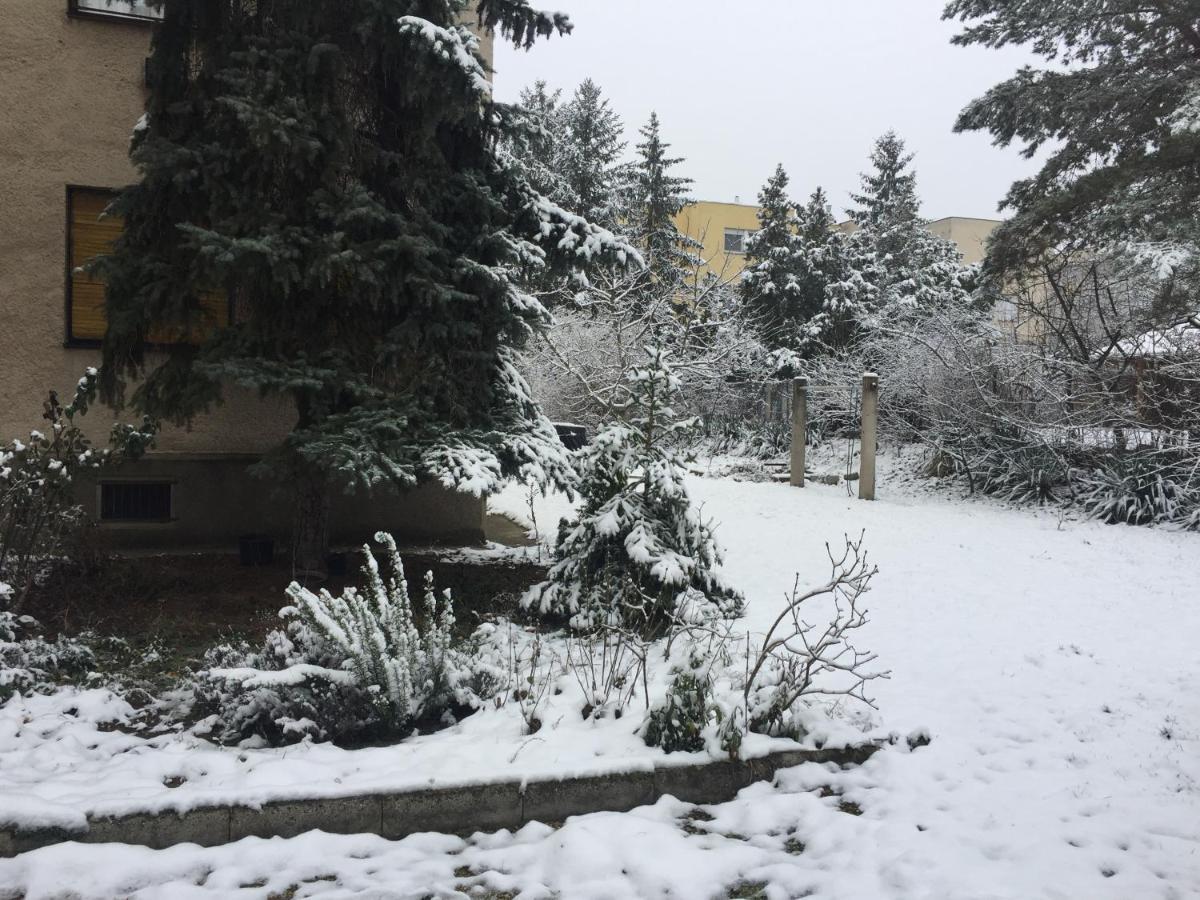 Next To University Debreczyn Zewnętrze zdjęcie